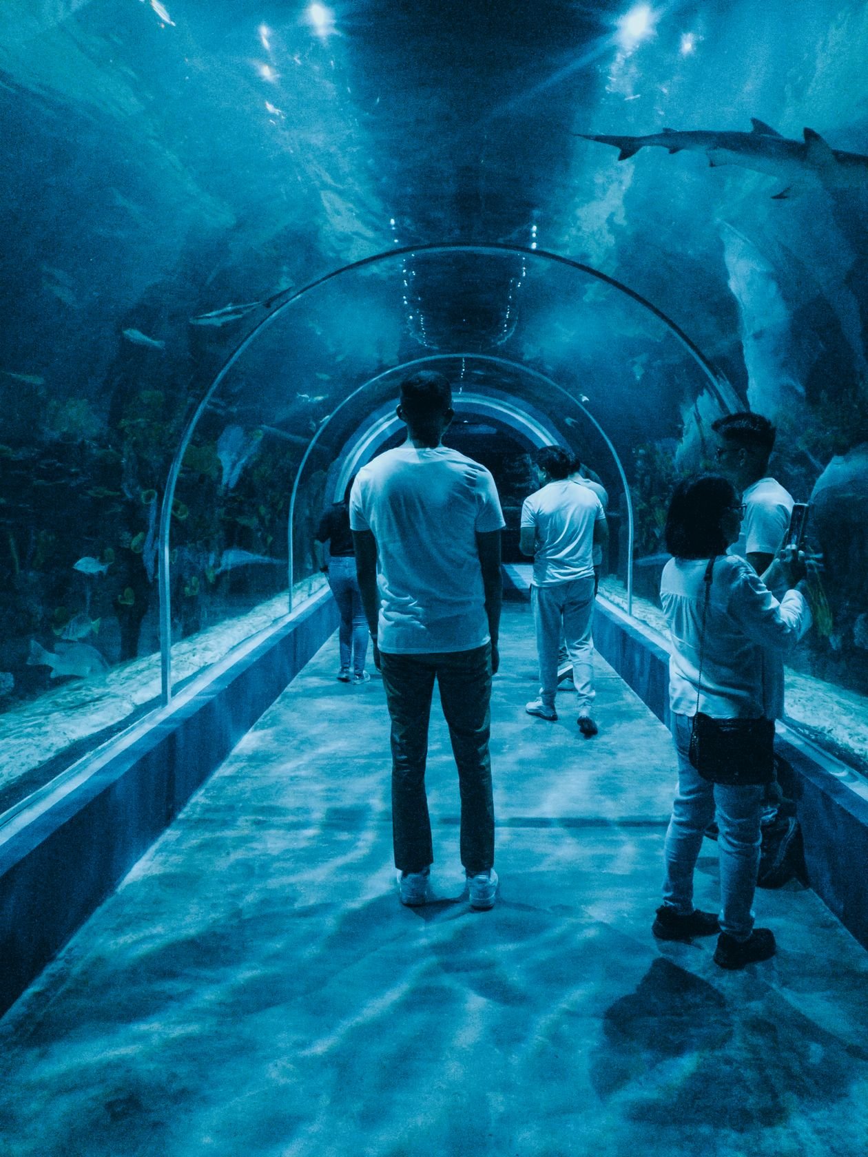 Aquariumtunnel mit Besuchern